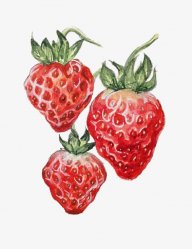 Strawberry