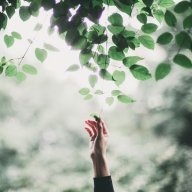 Весёлый_ветер