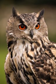 Татьяназвана