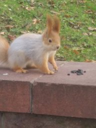 Екатерина2004