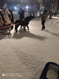 Покахонтас Моисей